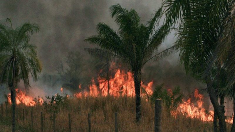 Bomberos informa que incendios forestales redujeron entre 40 y 50% en comparación a 2019 y 2020